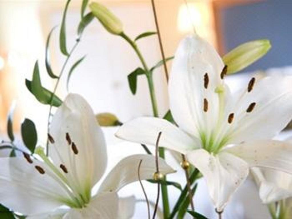Malin Court Hotel And Restaurant Эр Номер фото